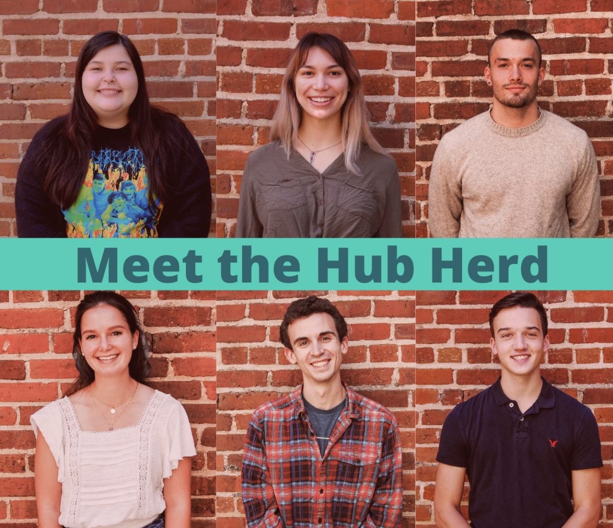 Headshots of the the Fall 2020 Hub Herd
